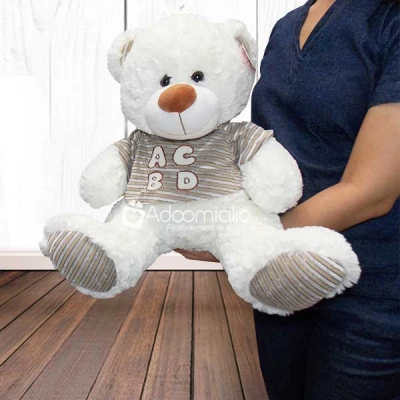 Peluches a domicilio en Cali  Oso Ternura Pedido Con Un Día De Anticipación