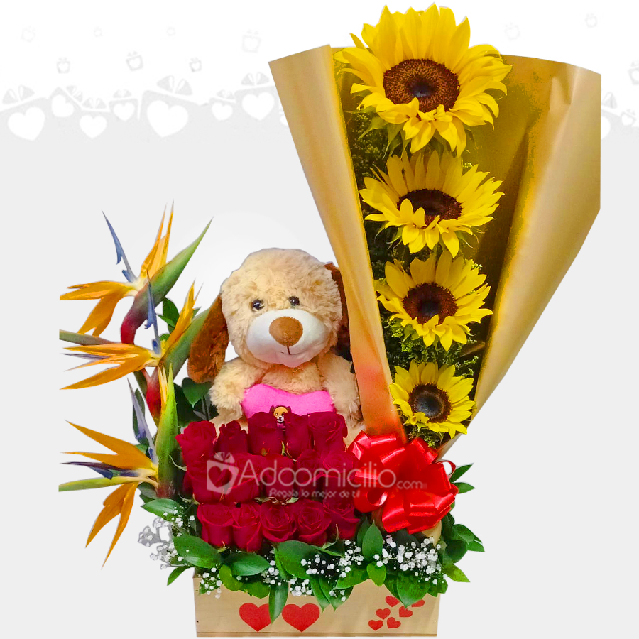 Arreglo Floral Con Peluche Para Amor Y Amistad A Domicilio En Medellín 