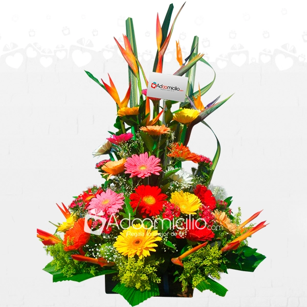 Arreglos Florales De Gerberas Para Sonreír A Domicilio En Pereira