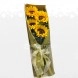 Encantó De Girasol Arreglos Florales A Domicilio En Bucaramanga