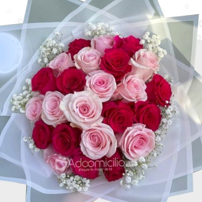 Bouquet De Rosas Rojas Y Rosadas A Domicilio En Armenia Pedido Con Un Día De Anticipación 