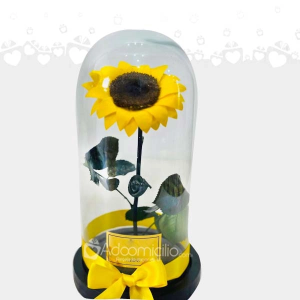 Girasol Preservada En Urna De Cristal A Domicilio En Medellín 